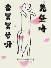 杳冥冥兮羌昼晦冥冥什么意思