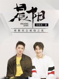 晨阳水漆五合一多少钱一桶