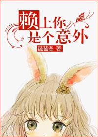 赖上你是个意外实体书