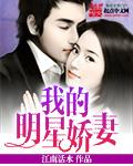 我的明星娇妻秦铭