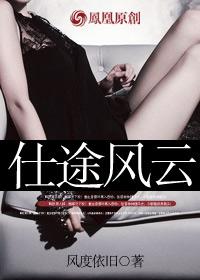 仕途风云全文阅读免费阅读