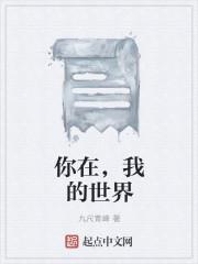 你在我的世界里无防盗