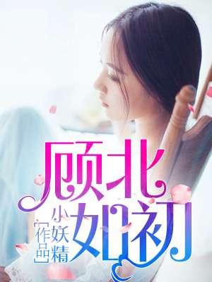 顾北如初电视剧