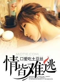 情皆难逃叶微凉