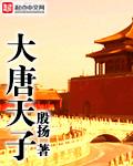 大唐天子图片