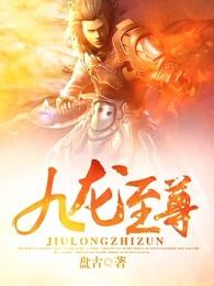 九龙至尊txt