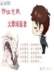 邪性总裁宠上隐