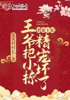 团宠小萌妃王爷